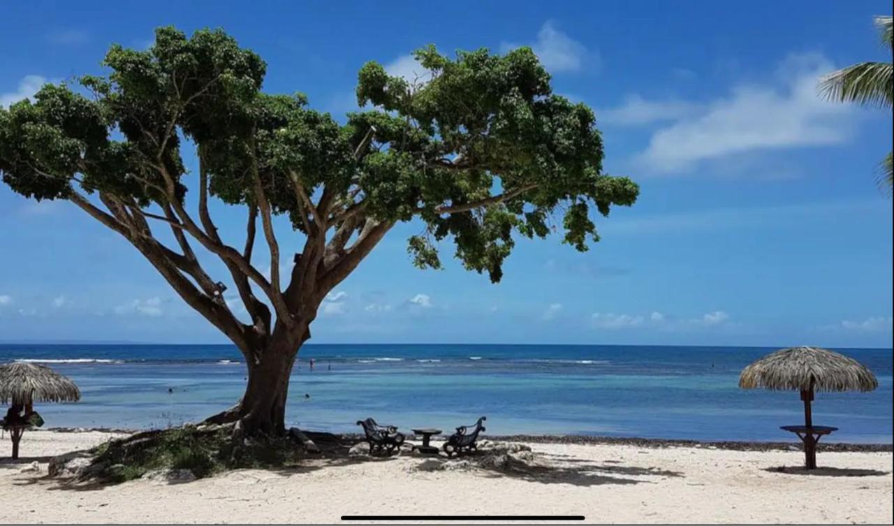 Le 35 Anse Des Rochers Saint-Francois ภายนอก รูปภาพ